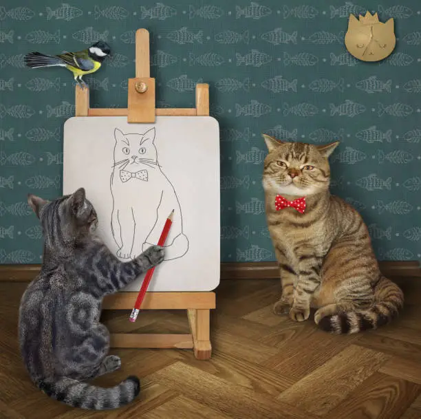 Photo of Cat gray artist paints its friend