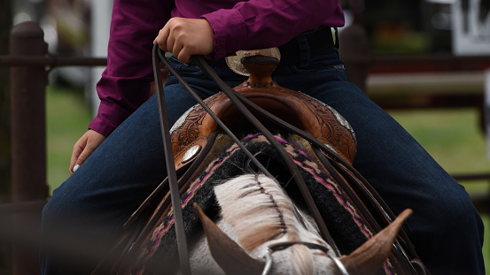 A horseback rider holds the reins while guiding a horse around an enclosure.