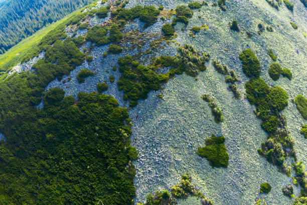 Ukraine, Carpathians, rocky peaks Gorgan - Khomyak and Synyak among wild coniferous and deciduous forests, captured aerially by a drone. After the rain in the valleys, fog and haze