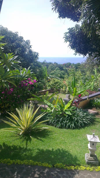 istock Out and about in Bali 1323567263