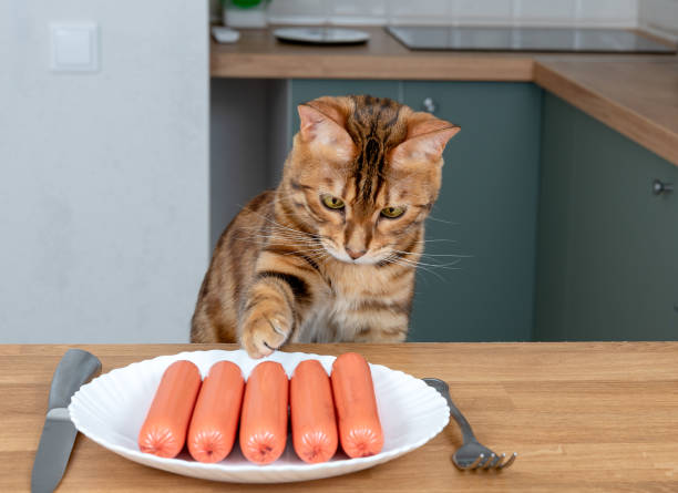 istock Hungry bengal cat steals sausages on wooden kitchen table 1323567496