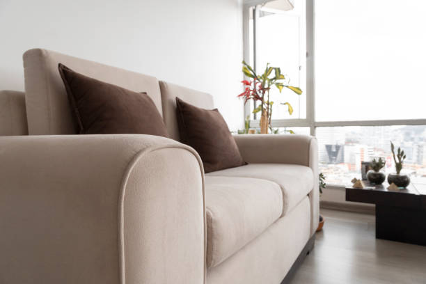 istock comfortable modern sofa with cushions, plant and decorative objects in a living room with a large window in the daytime, home interior 1323569476