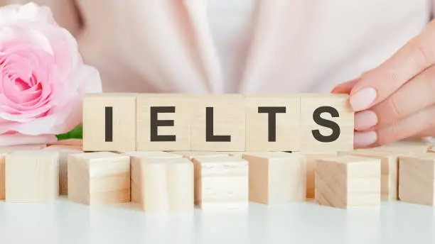 woman holds a wooden cube with the text of IELTS in her hand. on the wooden cubes there is a living rose flower. pink background, front view. business, economic, education concept