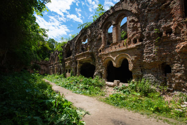 istock Military Tarakaniv Fort 1323574250
