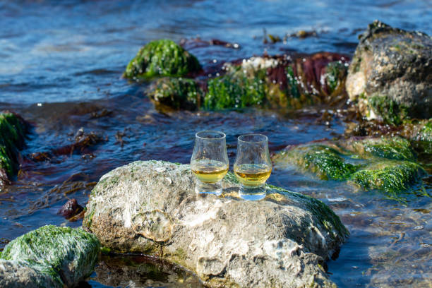 proeverij van single malt of gemengde schotse whisky en blauwe zee met stenen en oesters op de achtergrond, privé whiskytours in schotland, vk - spey scotland stockfoto's en -beelden