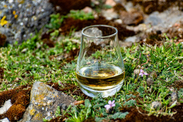 proeverij van single malt of gemengde schotse whisky en rotsen en bloemen op de achtergrond, privé whiskytours in schotland, vk - spey scotland stockfoto's en -beelden