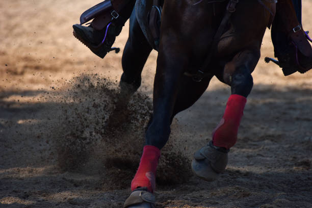 istock Horse and Rider 1323598446