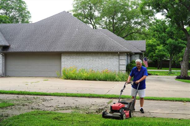 istock Mowing Lawn, Senior Man, Copy Space 1323599408