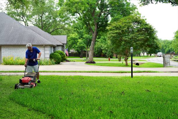 istock Senior Man Starting Lawn Mower, Copy Space 1323600801