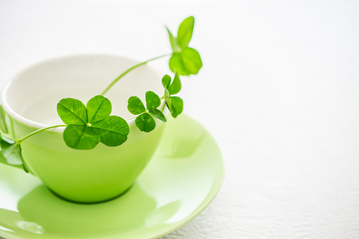 Four leaf clover, coffee cup, happy, relaxing, white background