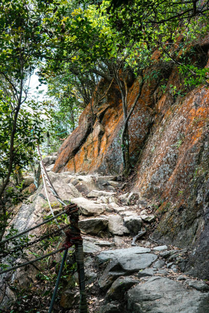 istock Stone staircase in the forest hill 1323604814