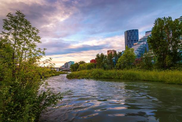 istock Bow River Winding Through The City At Sunrise 1323605678