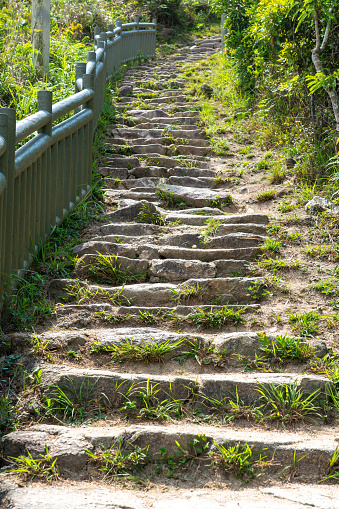 Stone staircase in the forest hill