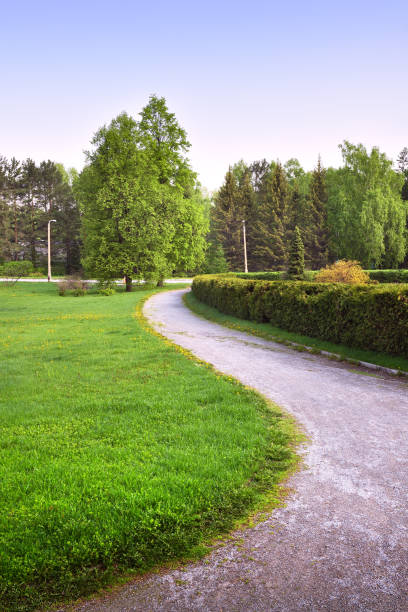 istock A winding path in a landscaped garden 1323609890