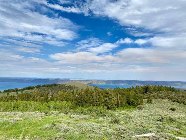 istock Scenic view of Bear Lake 1323610885