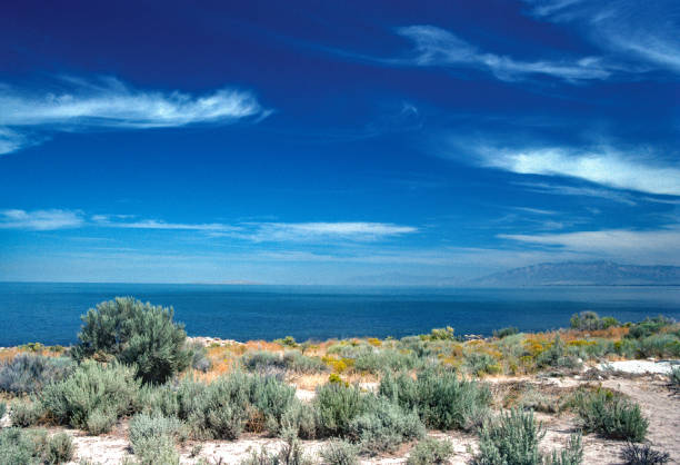 istock Great Salt Lake Utah - Lake & Desert Landscape - 1993 1323611982