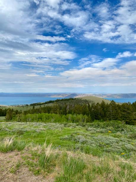 istock Scenic View of Bear Lake 1323612574