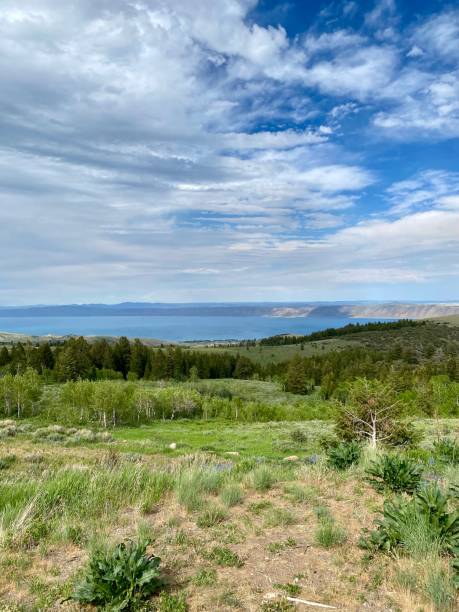 Scenic View of Bear Lake stock photo