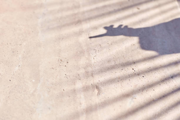 istock Child points with a finger under palms tree. Silhouette of a hand and trendy shadows. Trendy texture 1323613596