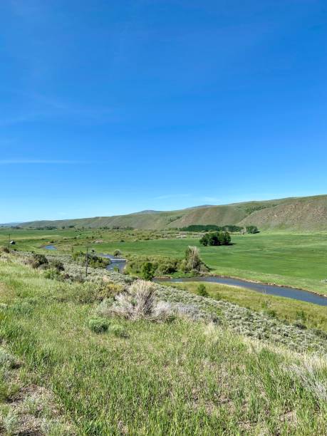 Creek meandering through scenic countryside in Wyoming stock photo