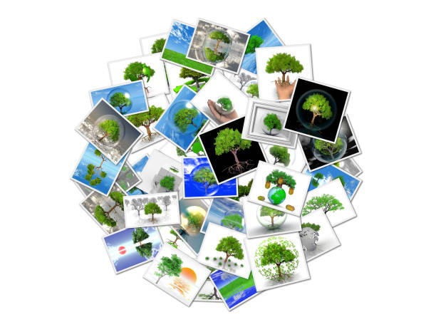 istock a bubble with pictures of trees 1323616105