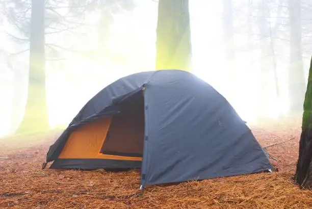 touristic tent in a  forest at themorning