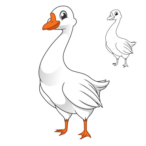 4,867 A Of A Goose Cartoon Illustrations & Clip Art - iStock