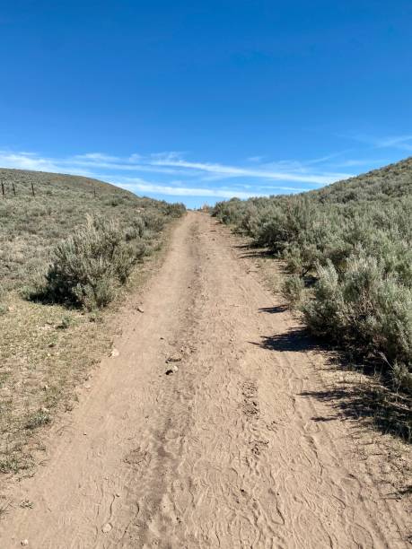 Dirt Road Through Mountain Pass in Utah stock photo