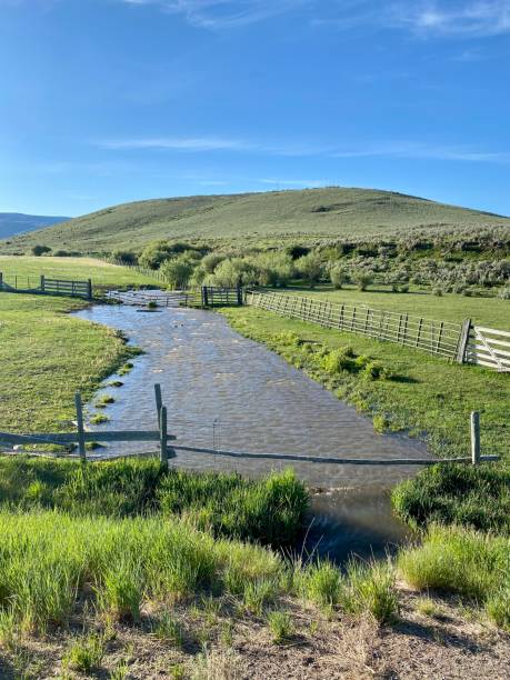 Meandering River Through Scenic Wyoming Mountain Valley stock photo