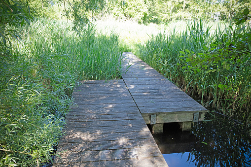 Low wooden bridge in the wetlands, the Netherlands