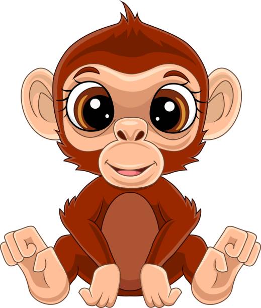 Monkey With Big Eyes Stock Photos, Pictures & Royalty-Free Images - iStock