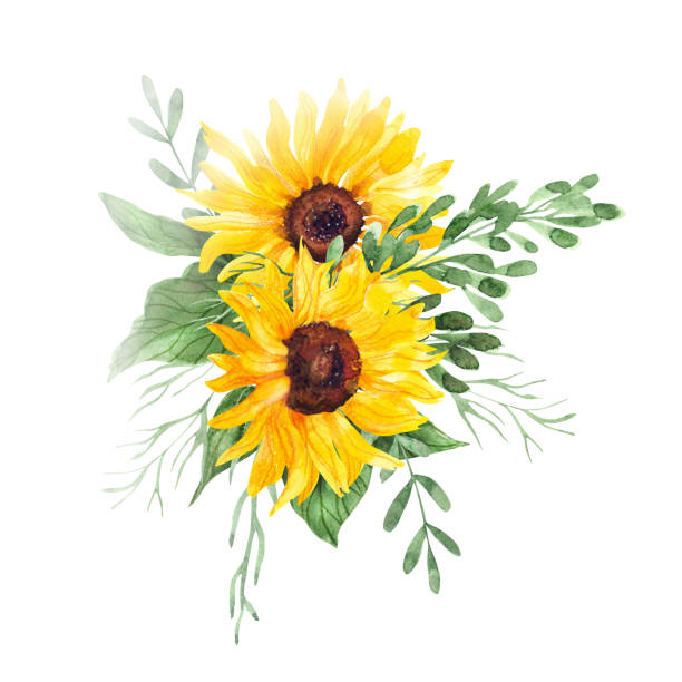Pretty Watercolor Sunflower Shirt Art Tee Pretty Watercolor Sunflower Shirt Art Tee