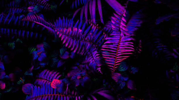 istock Tropical leaf forest glow in the black light background. High contrast. 1323629752