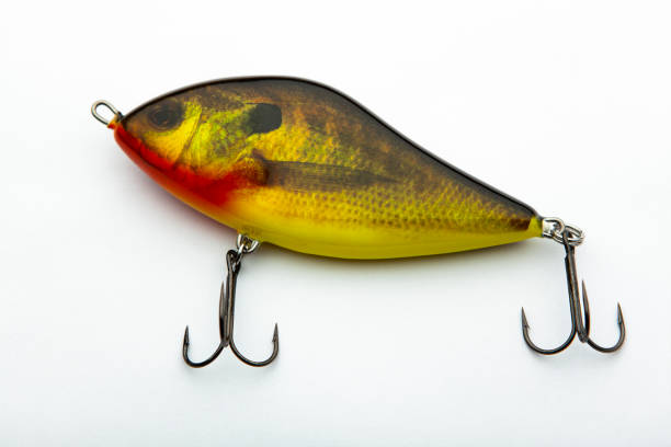 istock image of fishing bait white background 1323632117