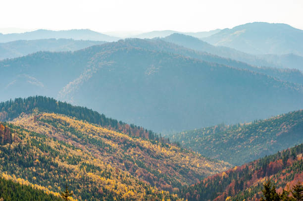 istock Mountain wilderness landscape, panorama forest-covered mountain range hills, nature Carpathians Ukraine, warm autumn day October. 1323632309
