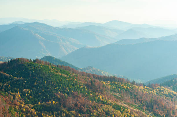 istock Nature Carpathians, Ukraine mountain wilderness landscape, panorama hills mountain range covered with forest, warm autumn day. 1323633169