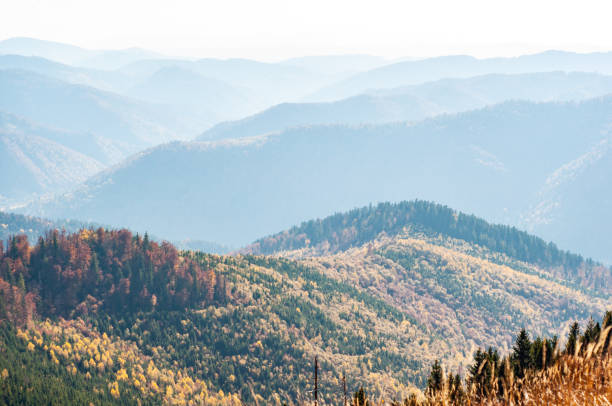 istock Nature Carpathians, Ukraine mountain wilderness landscape, panorama hills mountain range covered with forest, warm autumn day. 1323633181