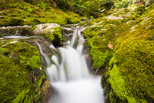 Waterfall in Marlborough, South Island, New Zealand.