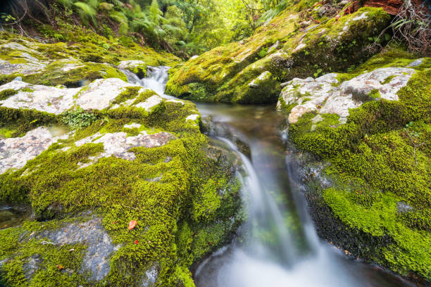 Waterfall in Marlborough, South Island, New Zealand.