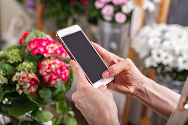 istock Close-up hands florist holding a smartphone. She accepts the order using Internet technologies. Florist workplace. Small business concept. Flowers and accessories. Side view. 1323641916