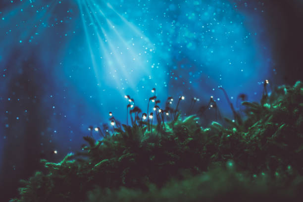 istock Mystery forest, glowing green moss against glitter blue light 1323642085