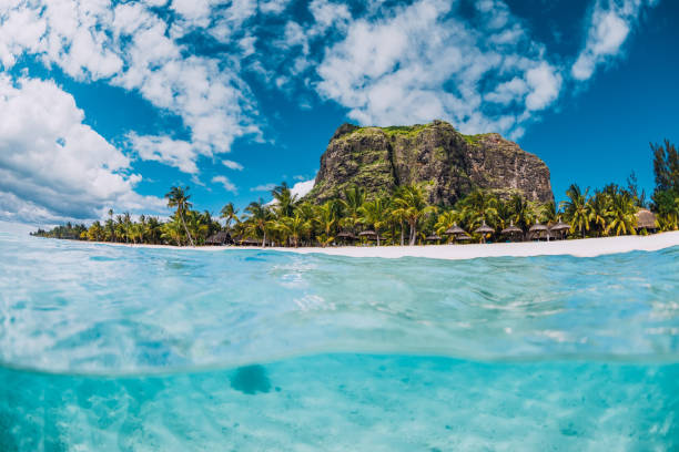 istock Tropical transparent ocean with Le Morne mountain and beach in Mauritius. Split view. 1323646565