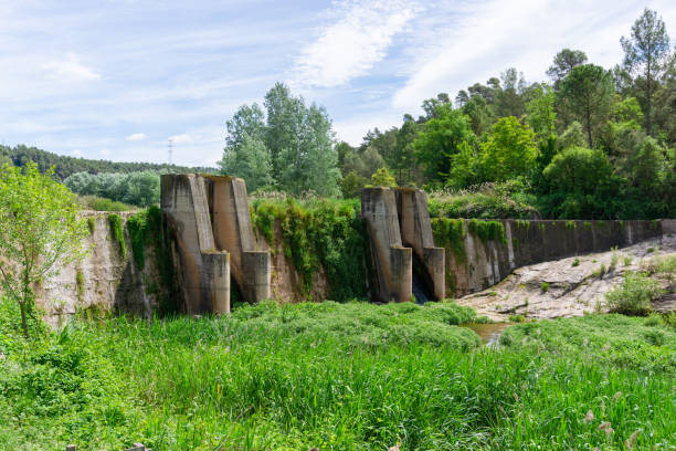 istock Landscape of a concrete dam among vegetation 1323647890