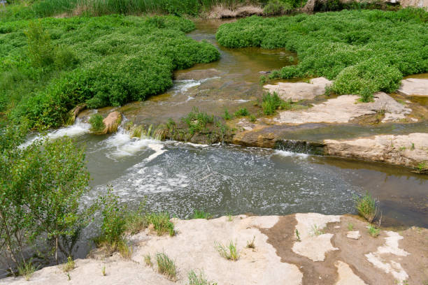 Landscape of a river polluted with foam