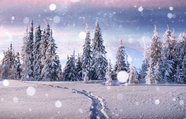 istock Majestic landscape with forest at winter time. Scenery background 1323654071