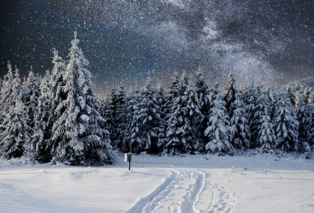 istock Majestic landscape with forest at winter time. Scenery background 1323654085