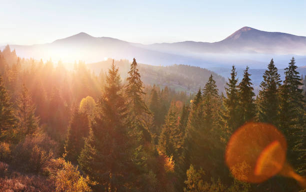 istock Majestic landscape with forest at spring time. Scenery background 1323654148