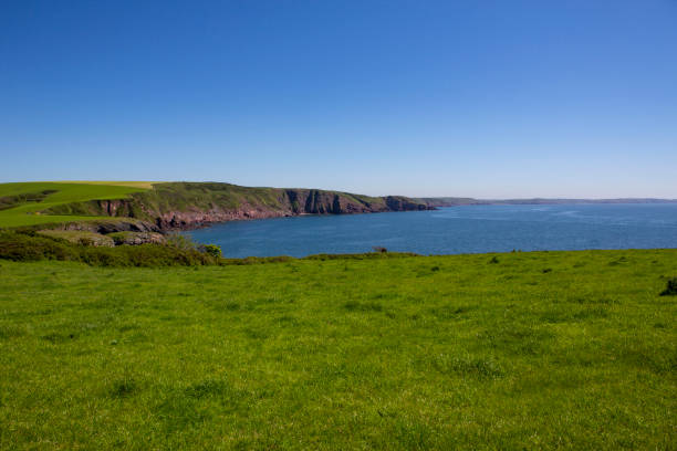 istock Grassland and blue sea in a bay 1323654834