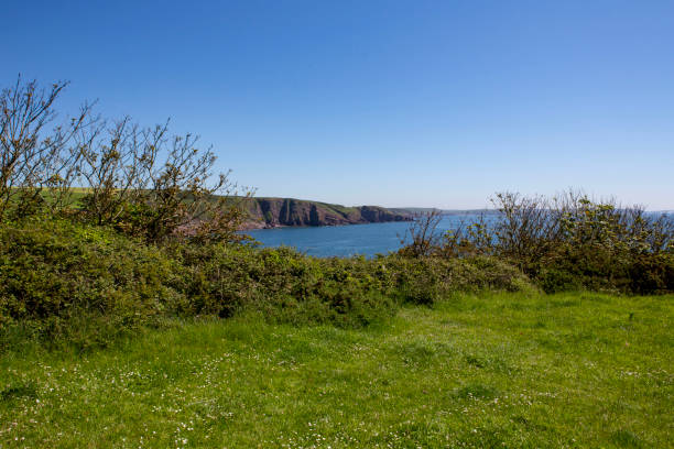 istock Grassland and blue sea in a bay 1323654839