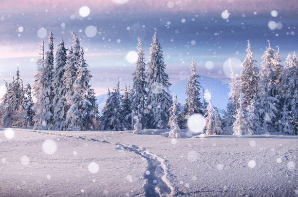 istock Majestic landscape with forest at winter time. Scenery background 1323654858
